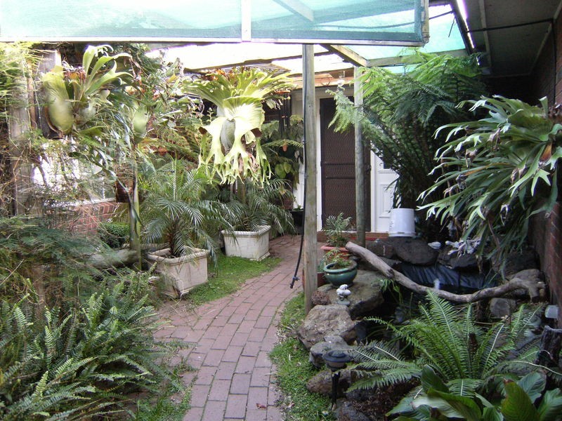 5 Almerta Avenue, Clifton Springs VIC 3222