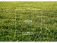 Lot 140 Delungra Avenue, Clifton Springs VIC 3222