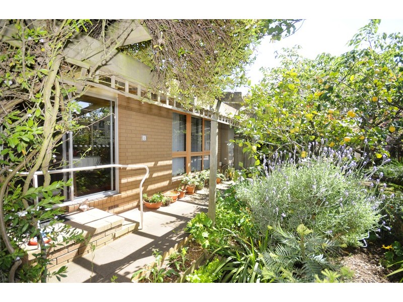 8 Bennett Street, Drysdale VIC 3222