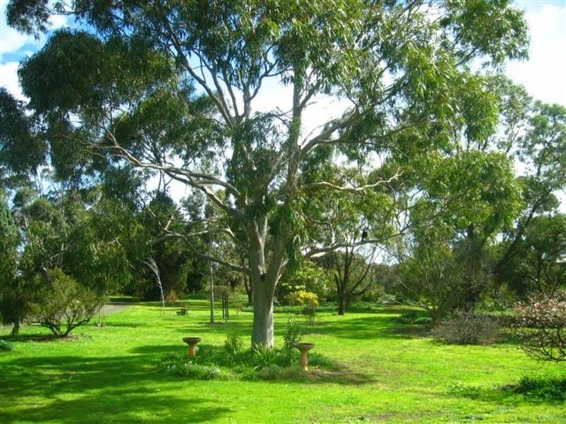 13-17 High Ridge Drive, Clifton Springs VIC 3222