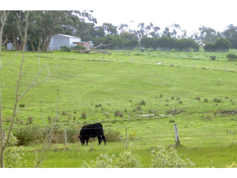 34-42 Woodville Street, Drysdale VIC 3222