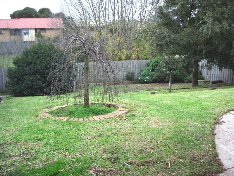 41 Barongarook Drive, Clifton Springs VIC 3222