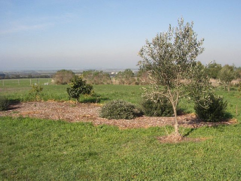 350  Murradoc Road, Drysdale VIC 3222