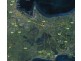 Lot 603 Estuary Boulevard, Leopold VIC 3224