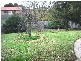 41 Barongarook Drive, Clifton Springs VIC 3222