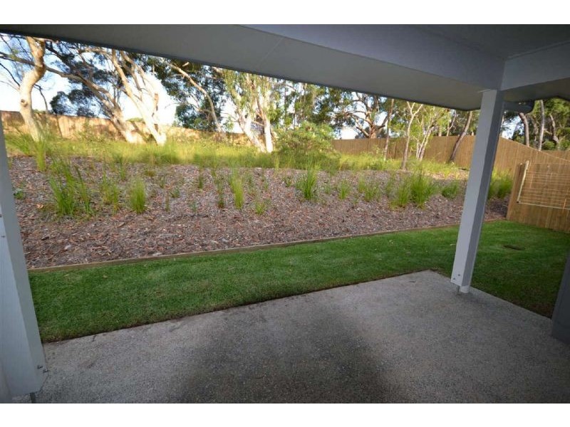 63 Brushbox Way, Peregian Springs QLD 4573