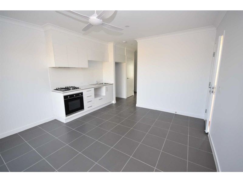 3A Silver Gull Cresent, Peregian Springs QLD 4573
