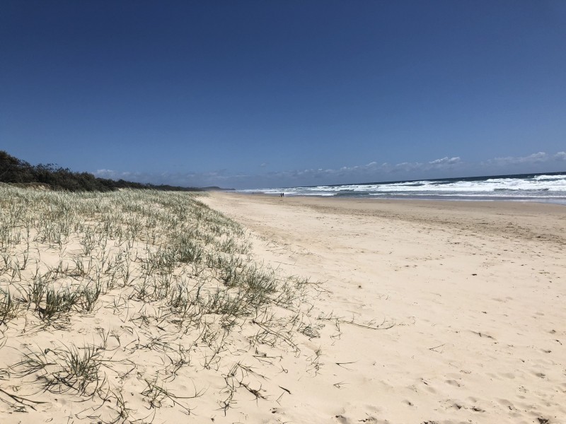 3/18 Tristania Dr, Marcus Beach QLD 4573