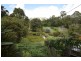 144 Solar Rd, Eumundi QLD 4562