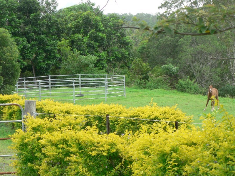 19 flindersea Drive, Cooran QLD 4569