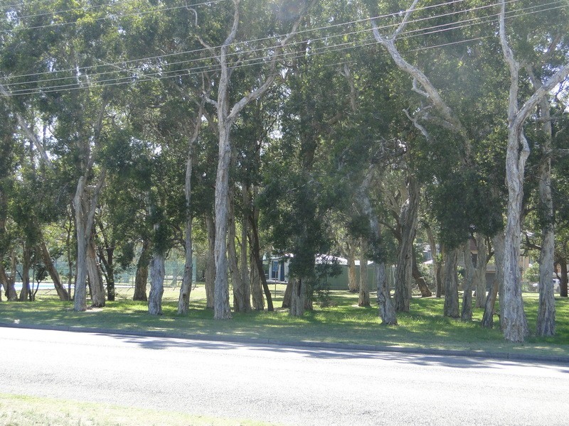 22 Government Road, Shoal Bay NSW 2315