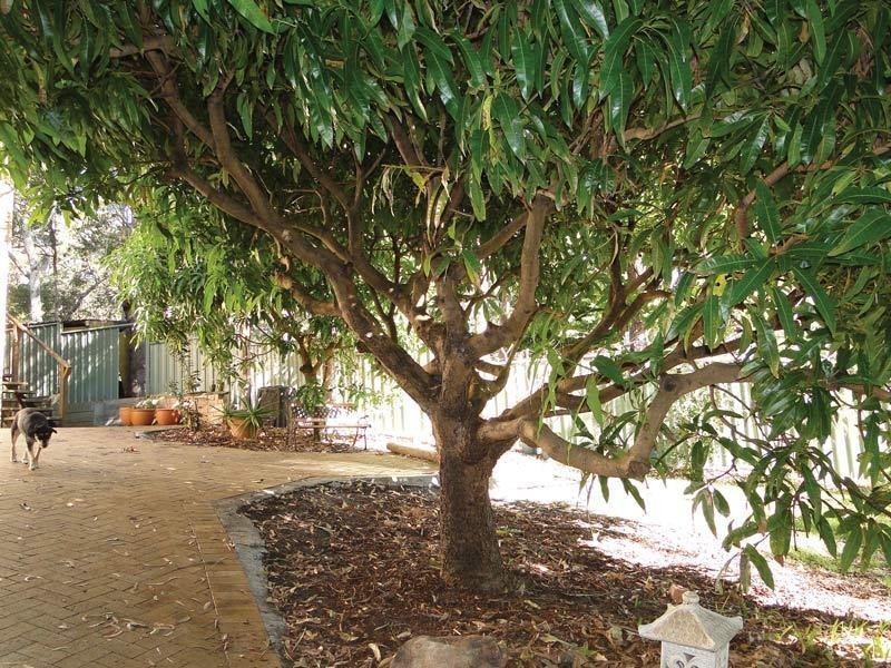 24 Ocean Beach Road, Shoal Bay NSW 2315