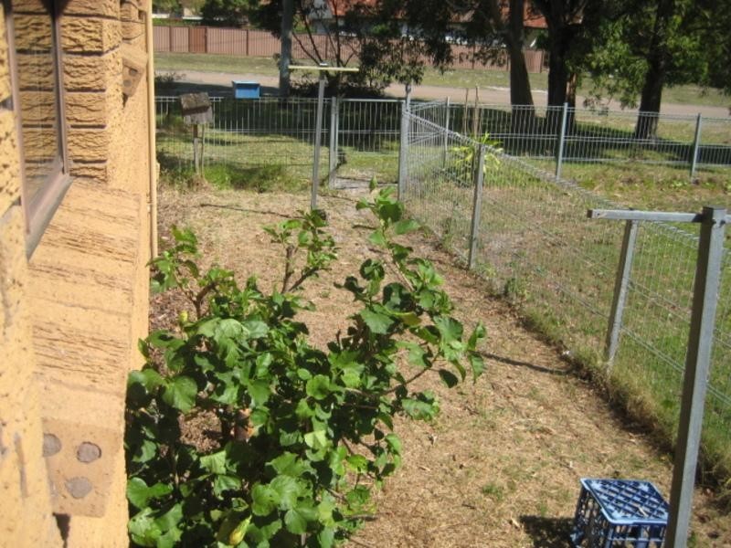 1/11 Fingal Street, Nelson Bay NSW 2315