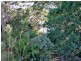 65 Kent Gardens, Soldiers Point NSW 2317