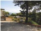 29 Government Road, Nelson Bay NSW 2315