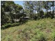 29 Government Road, Nelson Bay NSW 2315