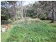 58 Ullora Close, Nelson Bay NSW 2315