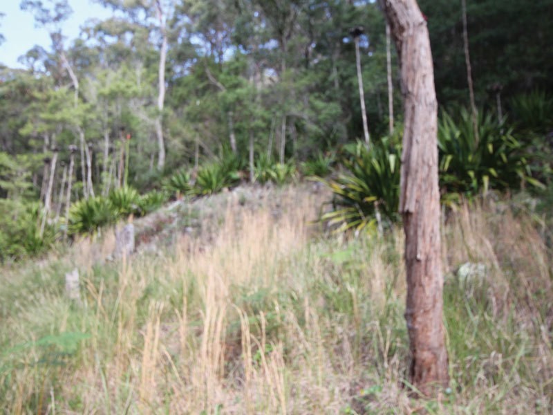 58 Ullora Close, Nelson Bay NSW 2315