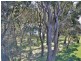 13/17  Mistral Close, Nelson Bay NSW 2315