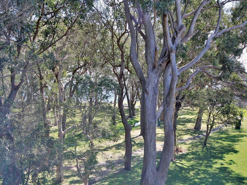 13/17  Mistral Close, Nelson Bay NSW 2315