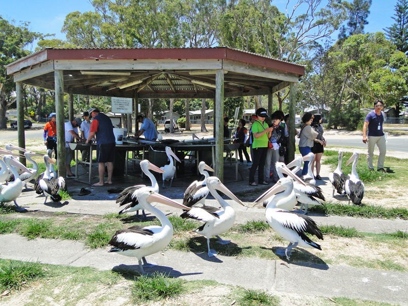 7/8-10 Columbia Close, Nelson Bay NSW 2315