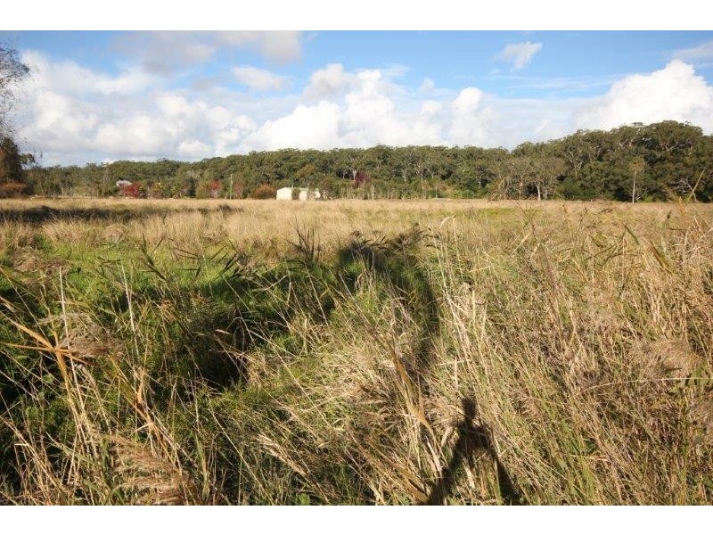 698 Marsh Road, Bobs Farm NSW 2316