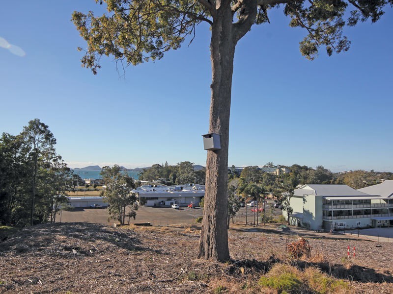 19 Ash Street, Soldiers Point NSW 2317