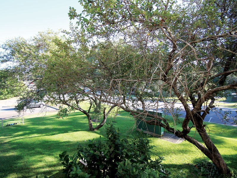 3/26 Ajax Avenue, Nelson Bay NSW 2315