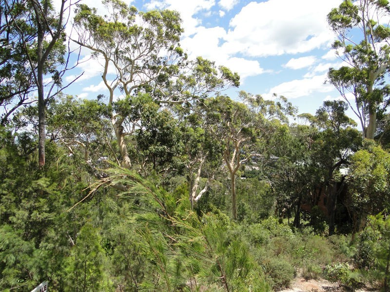 3 Pillinda Court, Nelson Bay NSW 2315