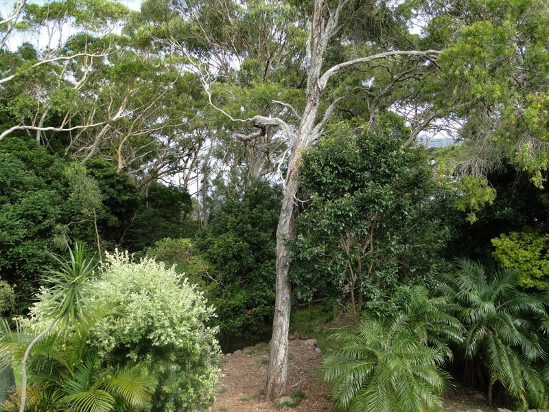 65 Kent Gardens, Soldiers Point NSW 2317