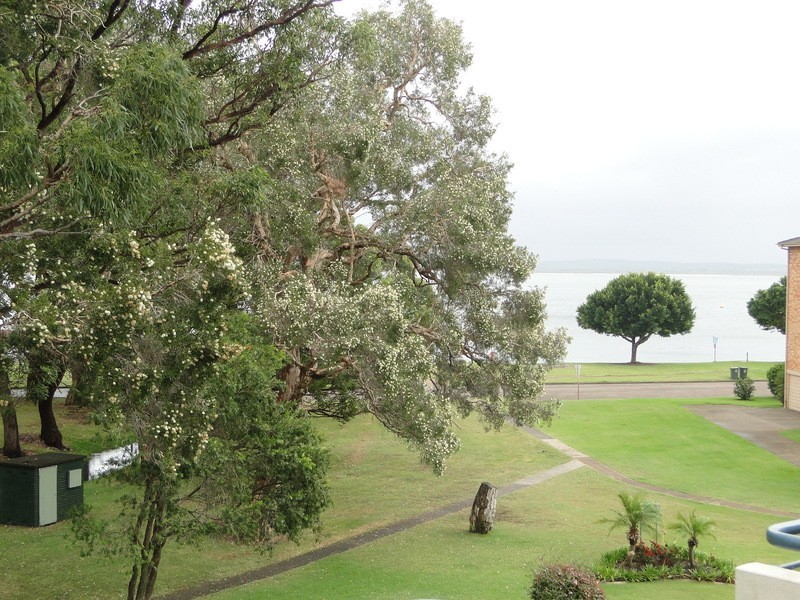 15/17 Mistral Close, Nelson Bay NSW 2315