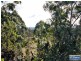 580 Marsh Road, Bobs Farm NSW 2316
