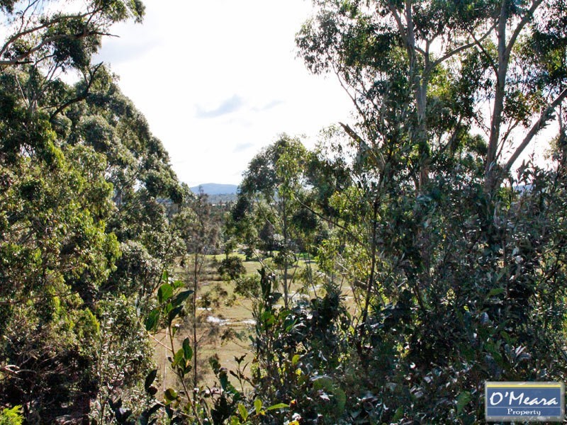580 Marsh Road, Bobs Farm NSW 2316