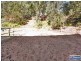 580 Marsh Road, Bobs Farm NSW 2316