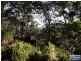 580 Marsh Road, Bobs Farm NSW 2316