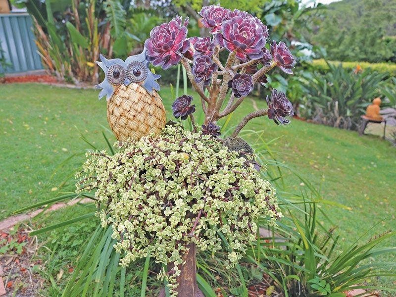 8 Tingara Road, Nelson Bay NSW 2315