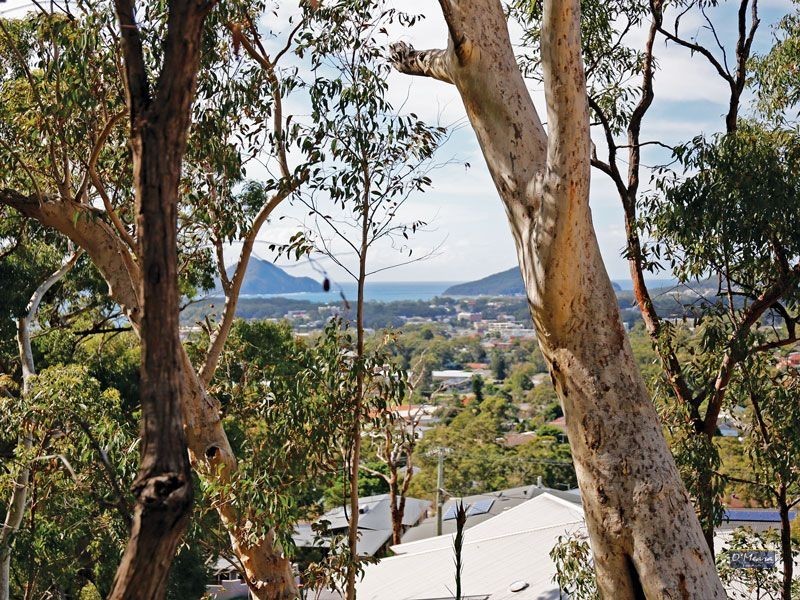 31 Tareebin Road, Nelson Bay NSW 2315