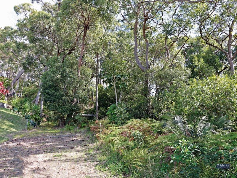 31 Tareebin Road, Nelson Bay NSW 2315