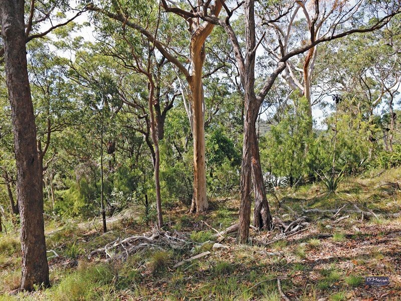 31 Tareebin Road, Nelson Bay NSW 2315