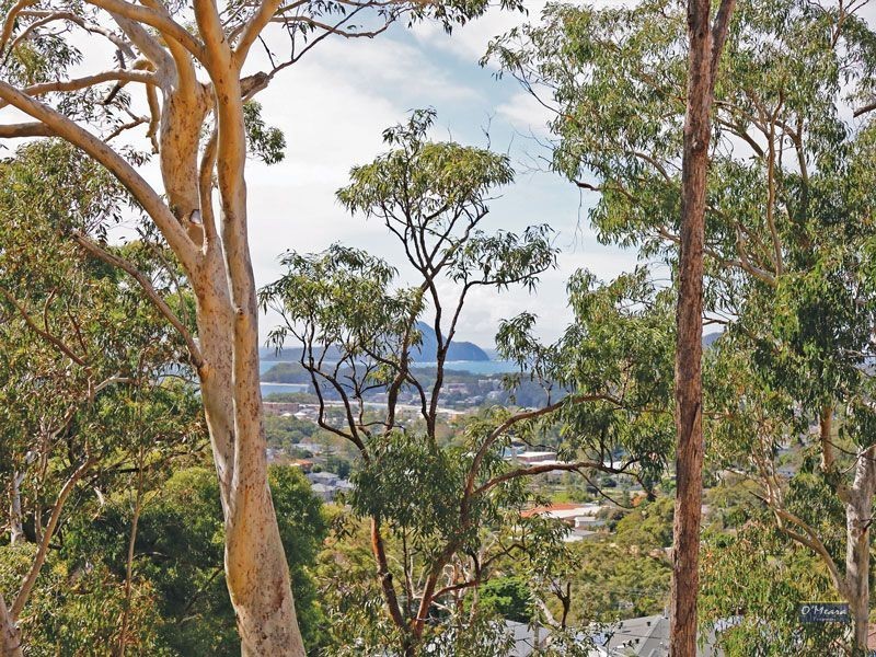 31 Tareebin Road, Nelson Bay NSW 2315