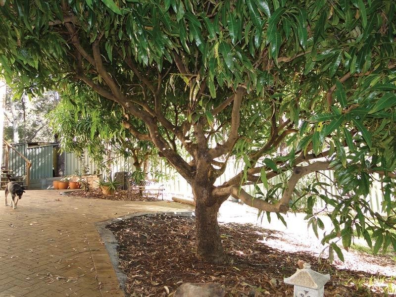 24 Ocean Beach Road, Shoal Bay NSW 2315