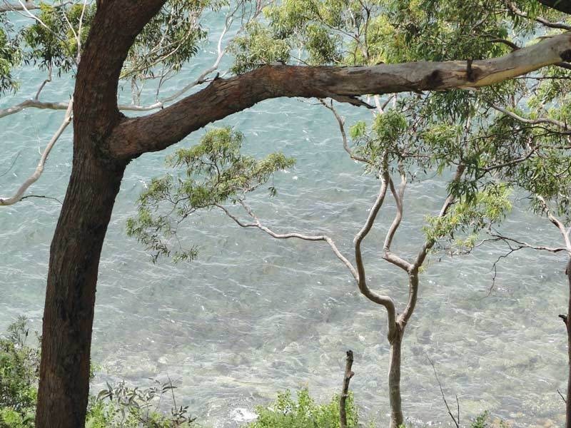 4/12 Thurlow Avenue, Nelson Bay NSW 2315