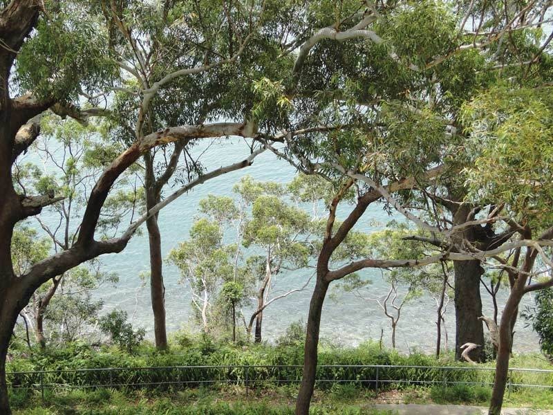 4/12 Thurlow Avenue, Nelson Bay NSW 2315