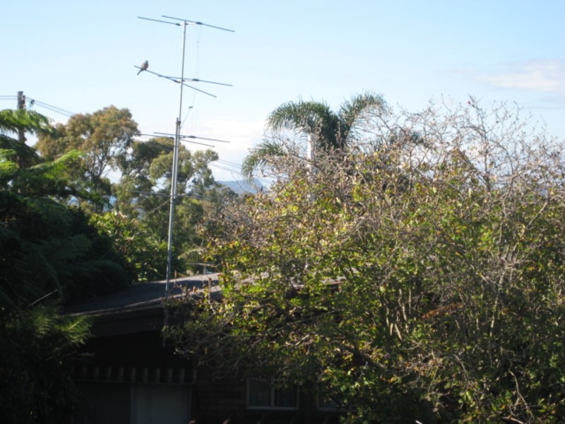 22 Vista Avenue, Soldiers Point NSW 2317