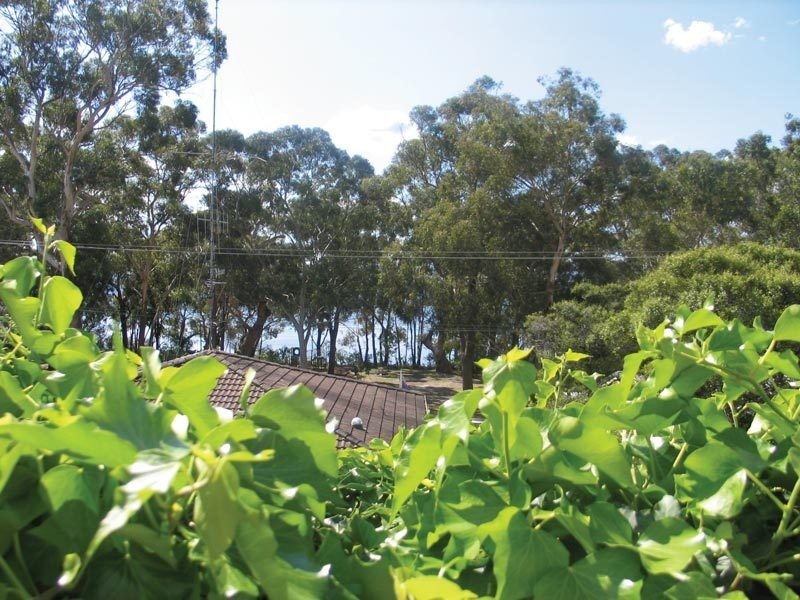 2/22 Irambang Street, Nelson Bay NSW 2315