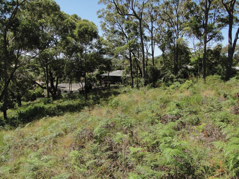 29 Government Road, Nelson Bay NSW 2315