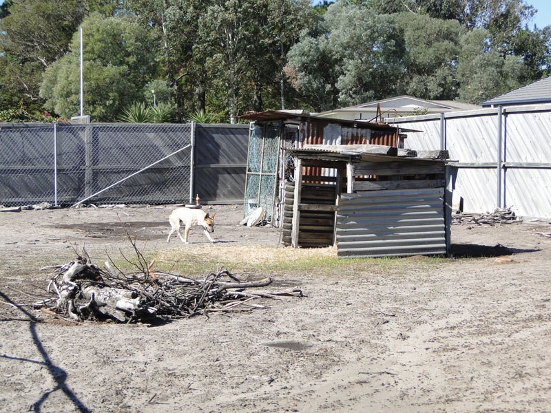 3 Gordon Close, Anna Bay NSW 2316