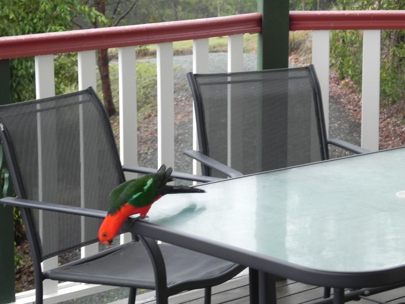 77 Birralee Close, Closeburn QLD 4520