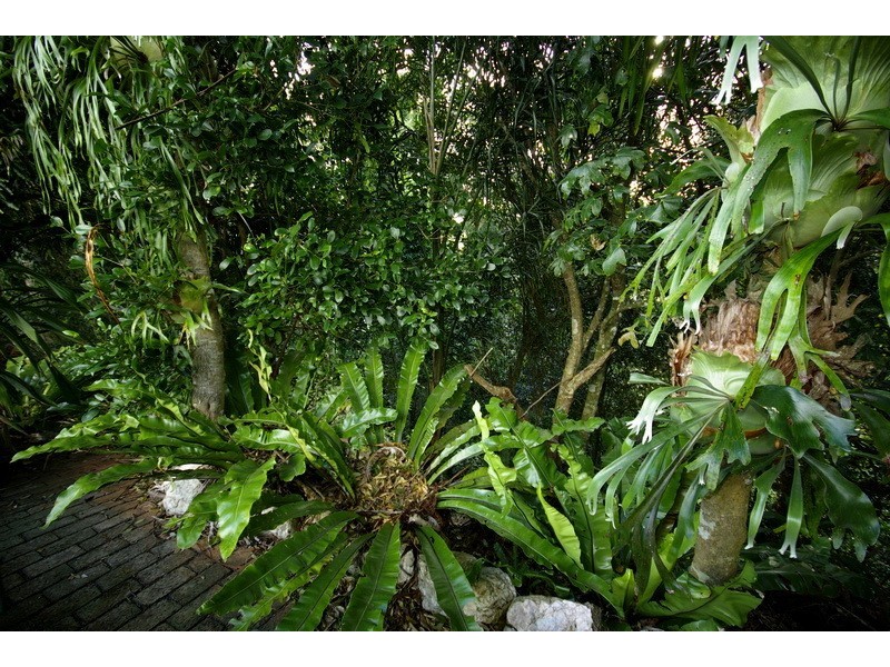 68 MacDonnell Road, Eagle Heights QLD 4271
