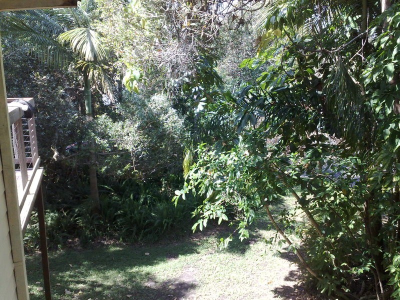 23 Shelley Drive, Byron Bay NSW 2481